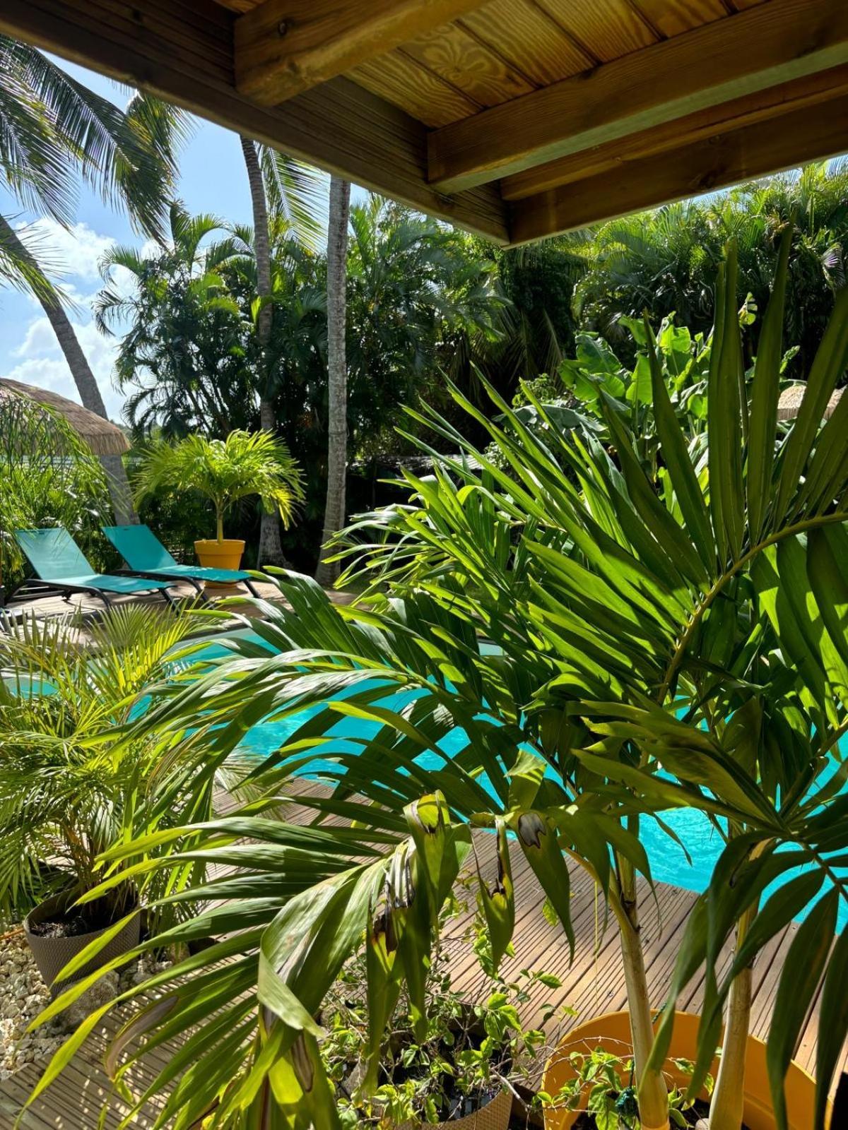 Le Petit Havre Tropical Guadeloupe, Gite, Massages & Spa Saint-Francois  Exterior foto
