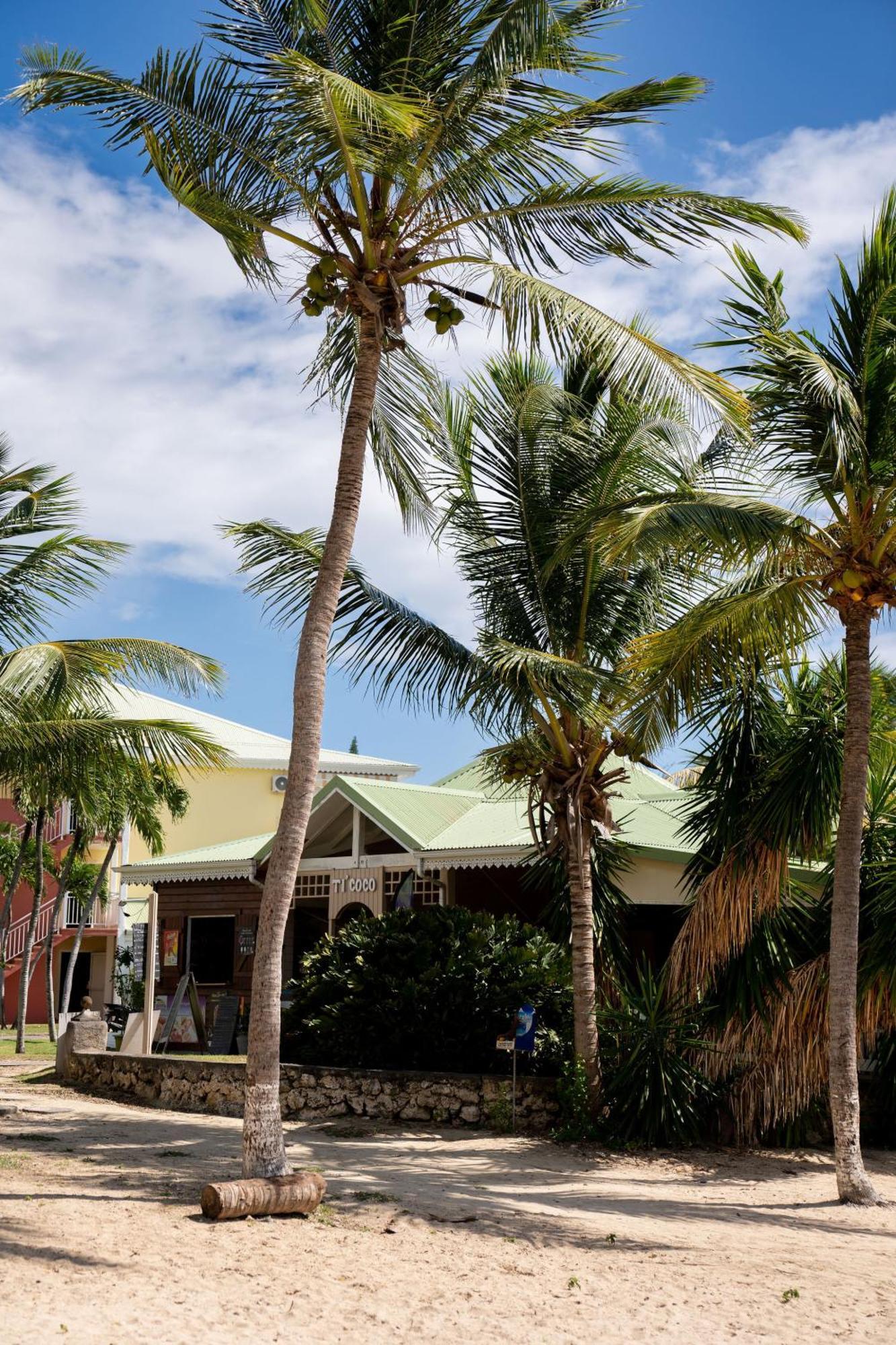 Le Petit Havre Tropical Guadeloupe, Gite, Massages & Spa Saint-Francois  Exterior foto