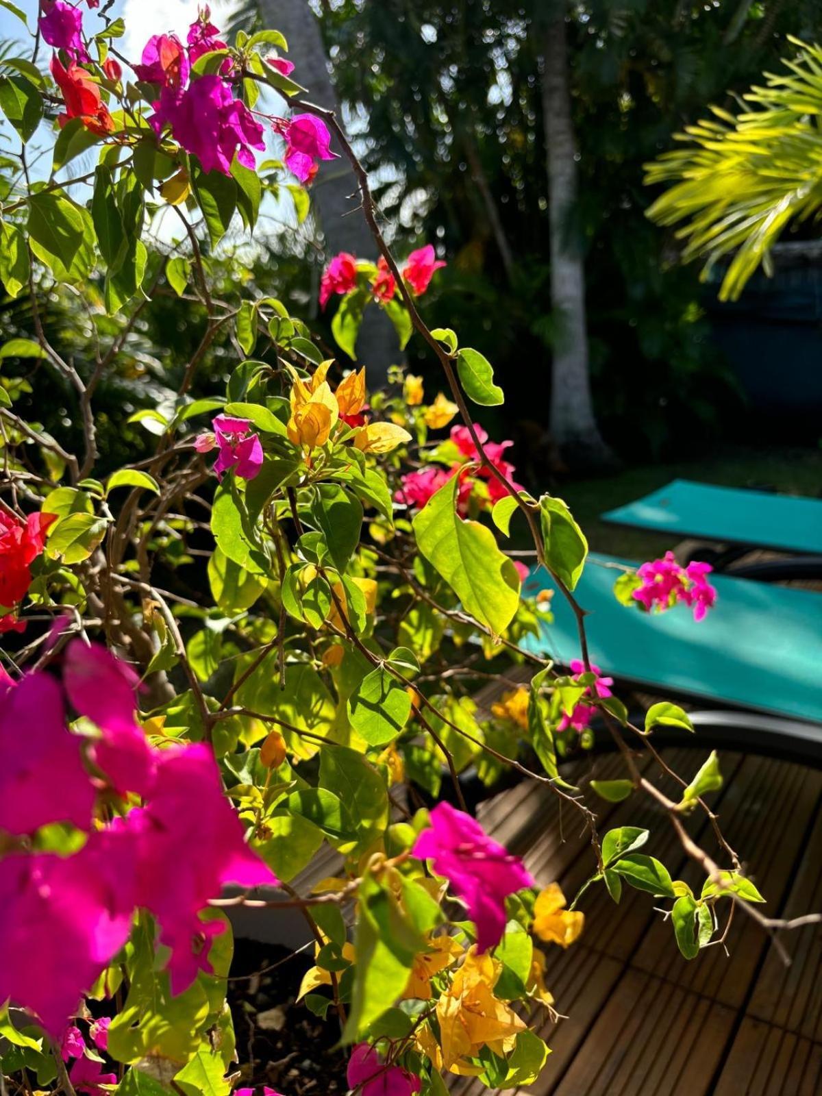 Le Petit Havre Tropical Guadeloupe, Gite, Massages & Spa Saint-Francois  Exterior foto