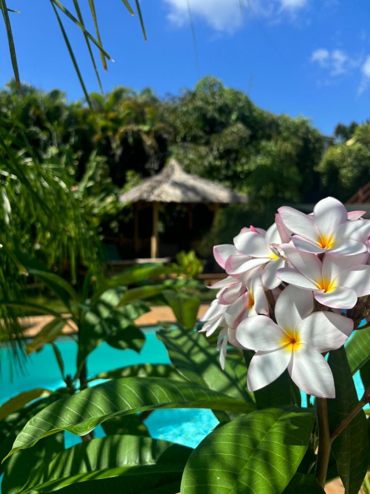 Le Petit Havre Tropical Guadeloupe, Gite, Massages & Spa Saint-Francois  Exterior foto