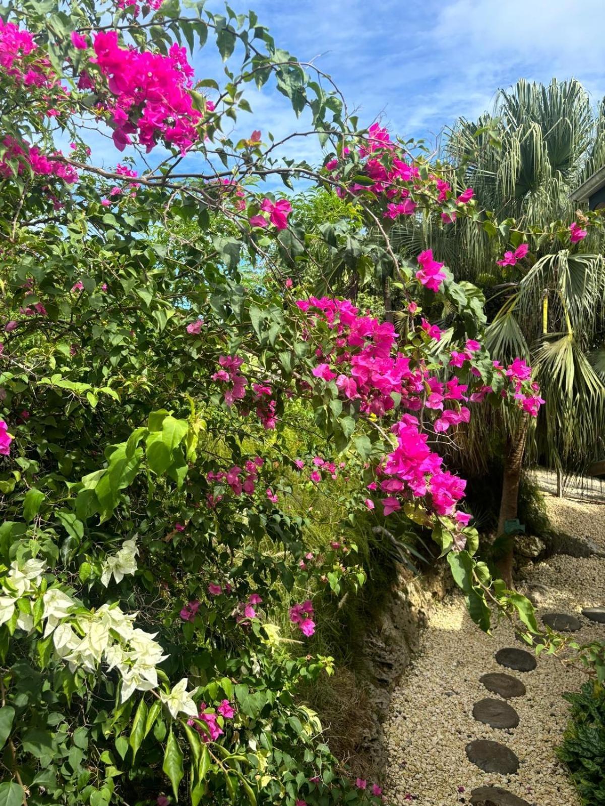 Le Petit Havre Tropical Guadeloupe, Gite, Massages & Spa Saint-Francois  Exterior foto
