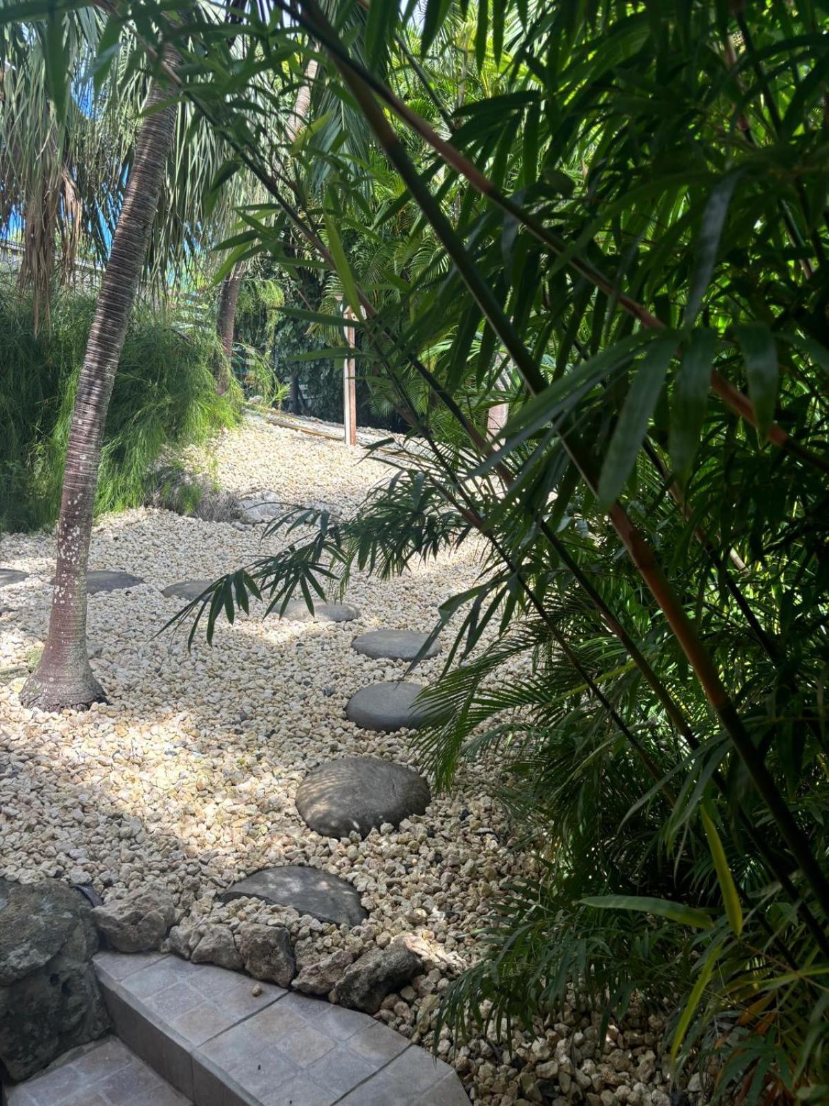Le Petit Havre Tropical Guadeloupe, Gite, Massages & Spa Saint-Francois  Exterior foto
