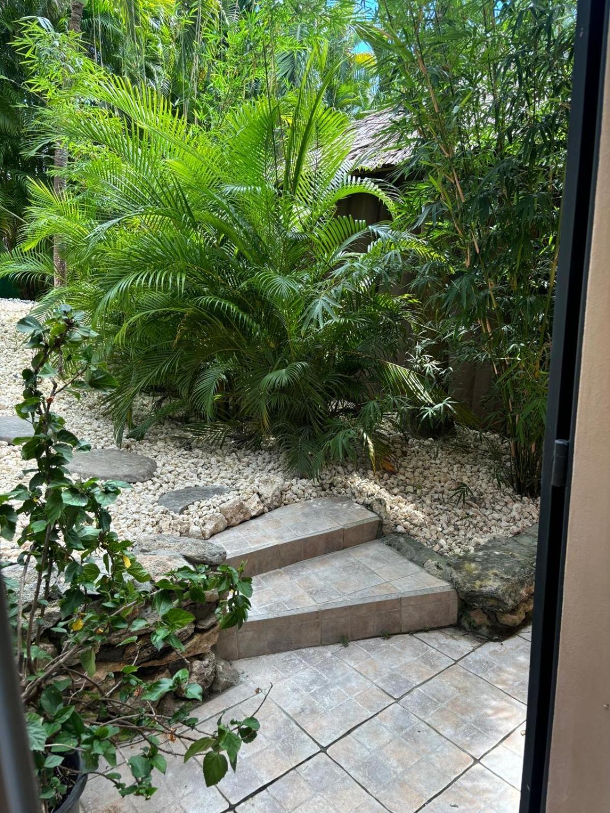 Le Petit Havre Tropical Guadeloupe, Gite, Massages & Spa Saint-Francois  Exterior foto